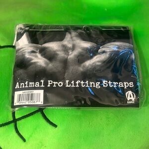 Animal pro lifting straps
